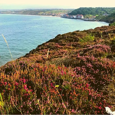East Cliff View, Heart Of 公寓 惠特比