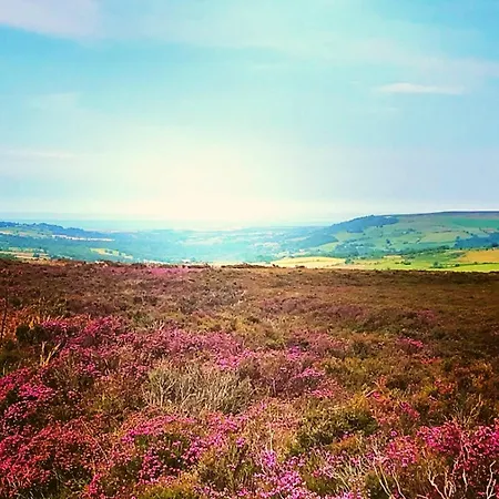 East Cliff View, Heart Of 公寓 *